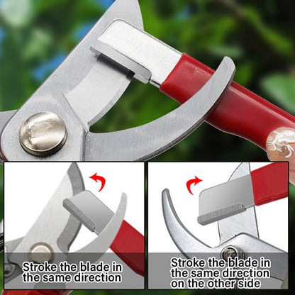 ⏳Begrenzte Zeit 50% Rabatt💥Tragbarer Schnellschärfer