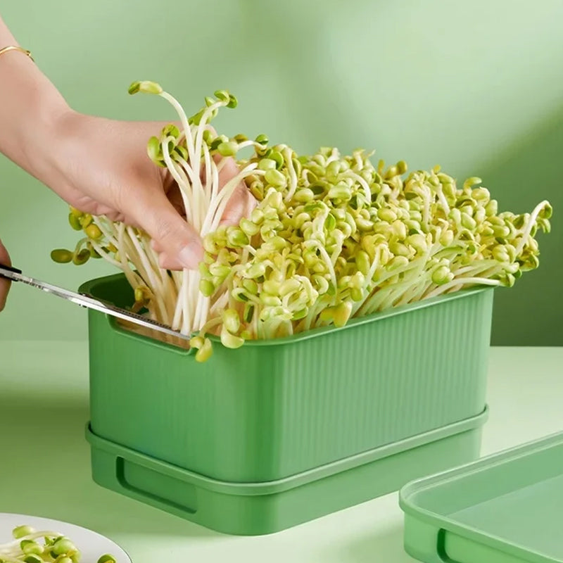 🌱💚Stapelbare Bohnenspüle -Wachstumskiste