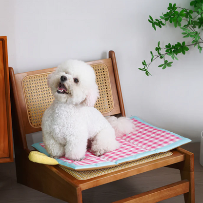 🐕💦🐕Pet Waterproof Double Sided Cooler Pad🧊