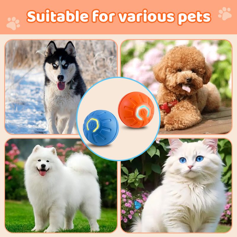 Interaktives Haustierspielzeug Automatisch rollender Ball