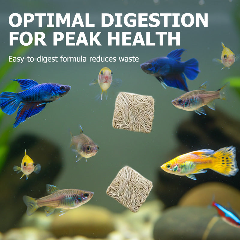 Stick-On High-Protein Freeze-Dried Tubifex Worms