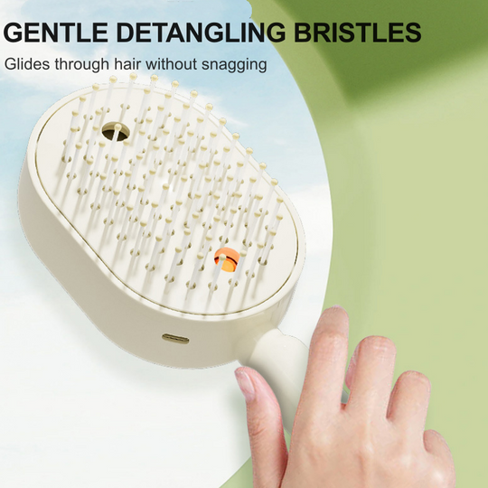 📢📢49% OFF!! ⏰✨Electric hairbrush with spray and massage🔥
