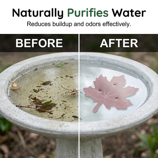 🔥HOT SALE 50% OFF🍁Universal Fit Bird Bath Purifier