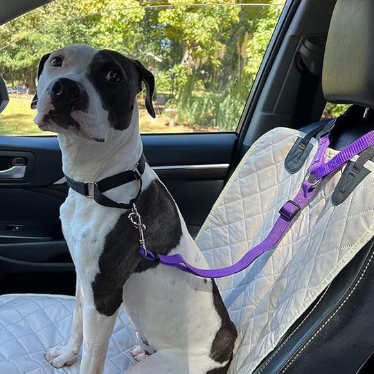 🔥New Hot Selling❤️‍🔥 2-in-1 Dog Car Seat Belt &amp; Walking Leash