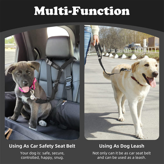 🔥New Hot Selling❤️‍🔥 2-in-1 Dog Car Seat Belt &amp; Walking Leash