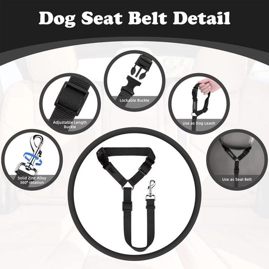 🔥New Hot Selling❤️‍🔥 2-in-1 Dog Car Seat Belt &amp; Walking Leash