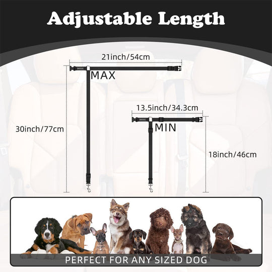 🔥New Hot Selling❤️‍🔥 2-in-1 Dog Car Seat Belt &amp; Walking Leash