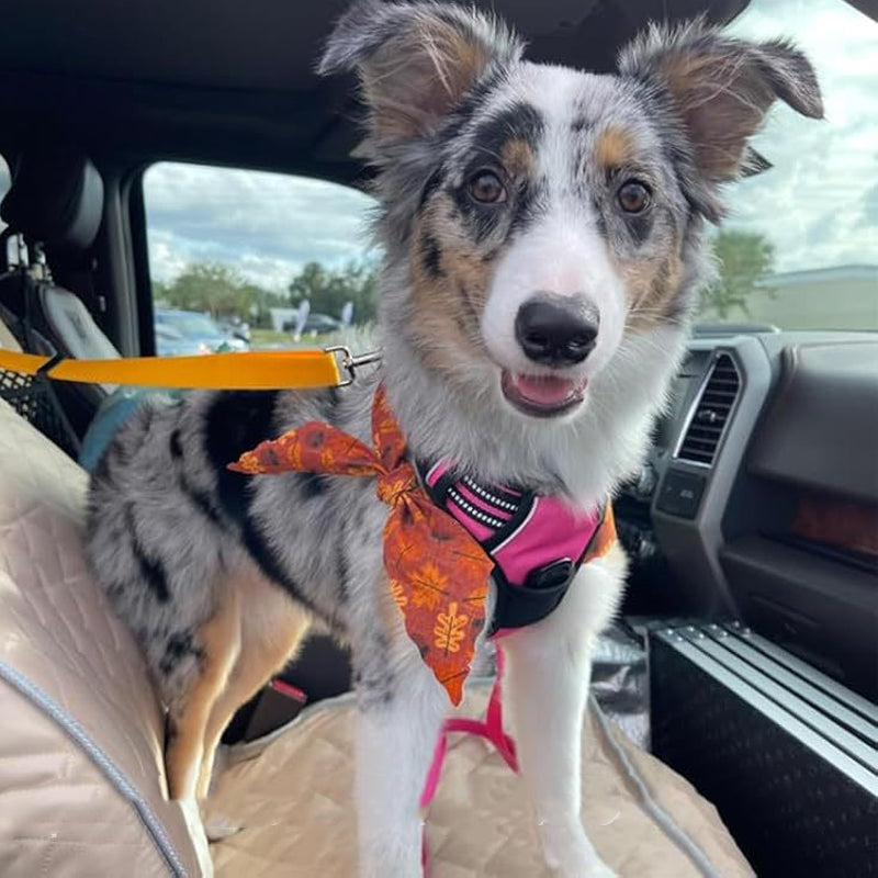 🔥New Hot Selling❤️‍🔥 2-in-1 Dog Car Seat Belt &amp; Walking Leash