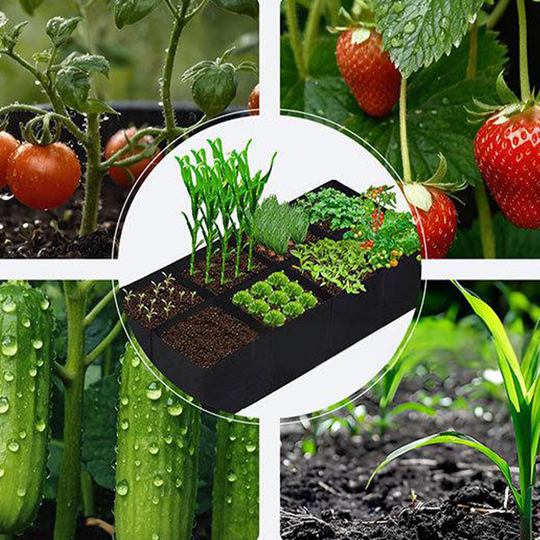 📢📢40% OFF !! ⏰Divided Fabric Grow Bags for Plants