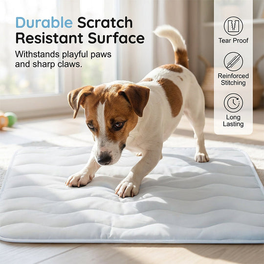 🔥50% OFF！❄️Breathable Pet Cooling Mat – No Water or Electricity Needed, Machine Washable, Lightweight &amp; Portable, Safe Fabric Cooling for Dogs &amp; Cats in Crate, Car &amp; Home