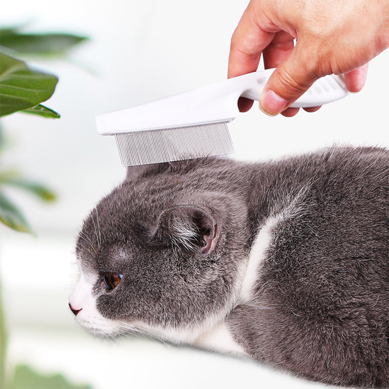 🐾 BUY 1 GET 1 FREE! 🛁 Multifunctional Pet Grooming Comb – Fine stainless steel needles – Removes tear stains, fleas &amp; tangles – gentle on skin, effective for cats and dogs ✨🐶
