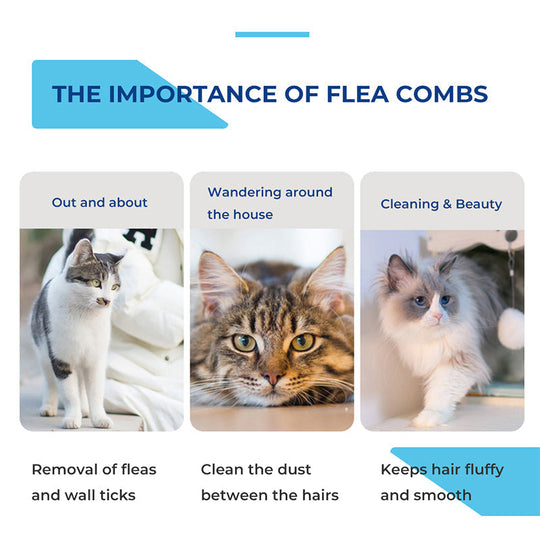 🐾 BUY 1 GET 1 FREE! 🛁 Multifunctional Pet Grooming Comb – Fine stainless steel needles – Removes tear stains, fleas &amp; tangles – gentle on skin, effective for cats and dogs ✨🐶